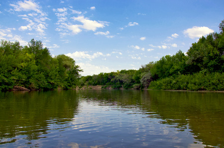 the river, the trees on the shore, skies