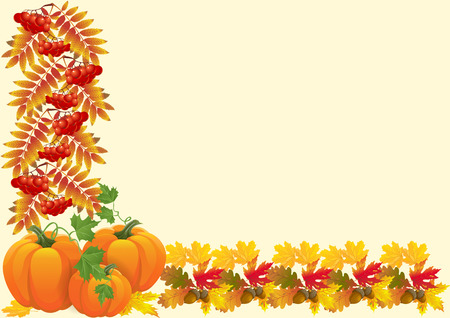 The illustration shows a nice frame of autumn gifts of nature  This  orange pumpkin, red rowan, autumn leaves and acorns  Illustration done on separate layers, there is a place for the text block のイラスト素材