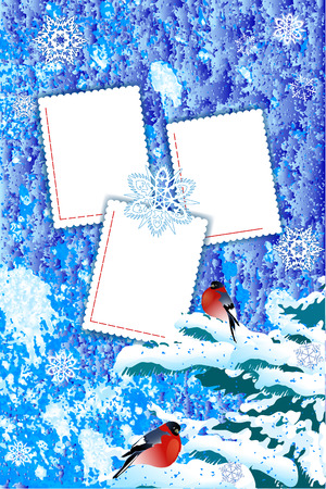 The illustration shows winter background for album photos with templates of blank forms, branch pine in the snow, bullfinches and snowflakes . Illustration made in blue and white colors on separate layers.のイラスト素材