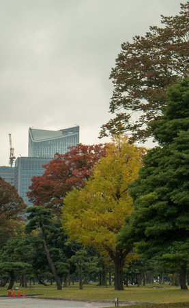 Autumn leaves and building in Tokyo, Japan. Autumn season.の写真素材