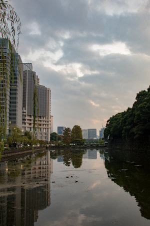 Reflection of buildings and trees in a lake in Tokyo, Japanの写真素材