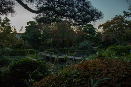 Japanese garden at night in Tokyo, Japan.の写真素材