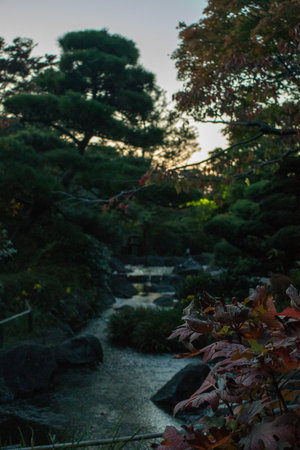 Japanese garden at sunset. Beautiful autumn landscape in the Japanese garden.の写真素材