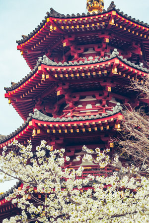 Beautiful Architecture in Kawasaki, Japanの写真素材