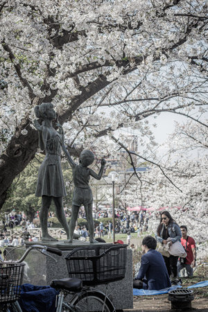 Unidentified people visit Kawasaki cherry blossoms festival.の写真素材