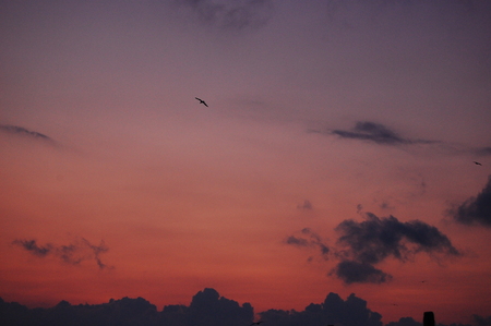 Sunsetの写真素材
