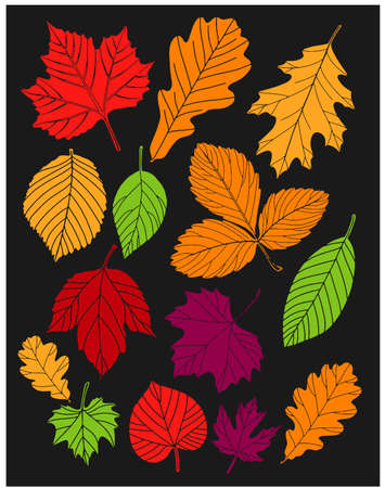 Colored autumn leaves painted on a black background. Vectorのイラスト素材