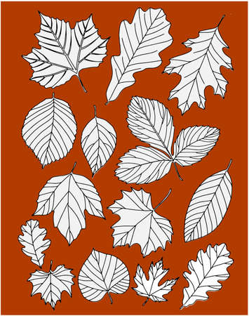 Autumn leaves are painted black on a yellow background. White with black outline. Vectorのイラスト素材