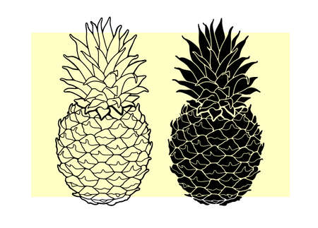 Pineapple drawn with a black line. Vectorのイラスト素材
