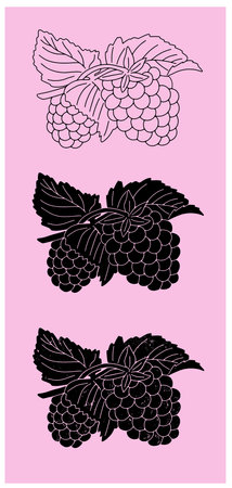 Raspberries on a branch on a color background. Vectorのイラスト素材