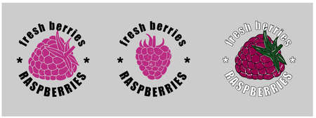 organic company or product. VeÑtor. Three options on a gray background. you can change the color.