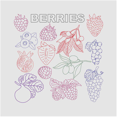 Berry set for use in product . Vector.のイラスト素材
