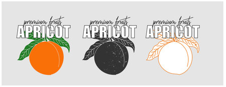 organic company or product. VeÑtor. Three options on a gray background. you can change the color.のイラスト素材