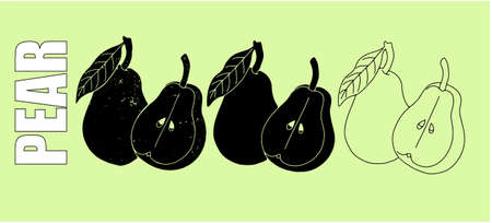 Pears drawn with a black line. Vectorのイラスト素材