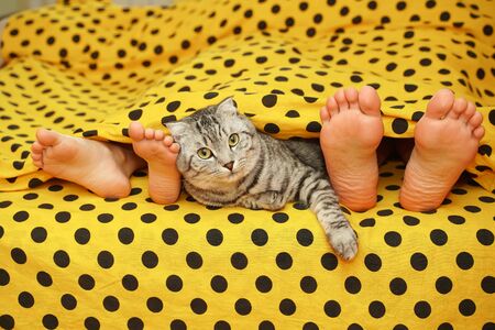 People lie in the yellow bedの写真素材