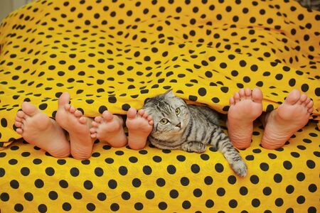 People lie in the yellow bedの写真素材