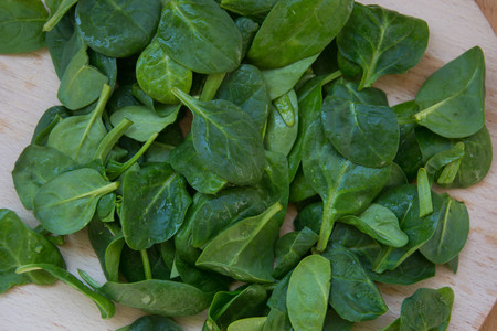 Fresh spinach leaves with water drops on wooden table. Plastic tray, wooden board. Baby spinach leaf...