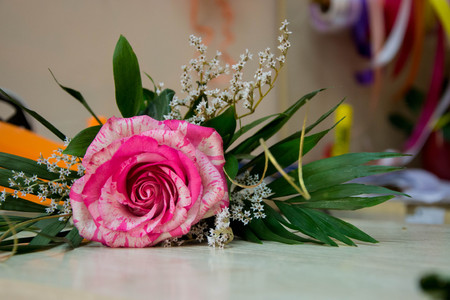 Beautiful bouquet, single red rose on a wooden table in a flower shop, blooming flower for 8 march, mother's day, women's day, valentine's dayの写真素材