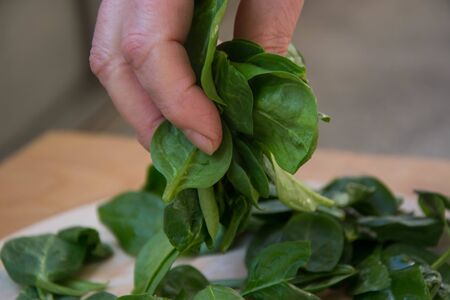 Close up of woman hands holding spinach at home, in the kitchen, healthy eating, dieting, vegetarian...