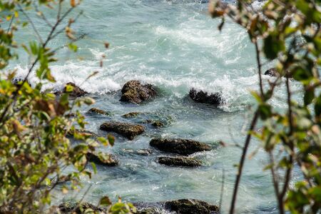 Sea waves breaking on rocks. View of the water behind green leaves and trees, nature concept