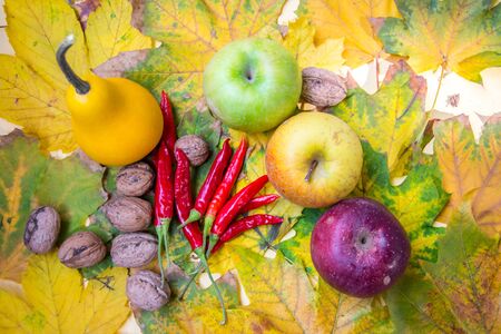 Autumn still life from above, walnuts, dried red peppers and colorful apples on yellow leaves background, fall beauty flat layの写真素材