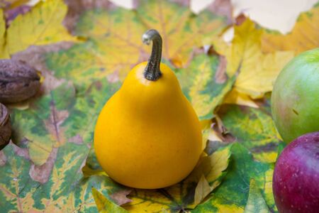 Close-up of pumpkin on yellow leaves background, walnuts and apples, autumn still lifeの写真素材