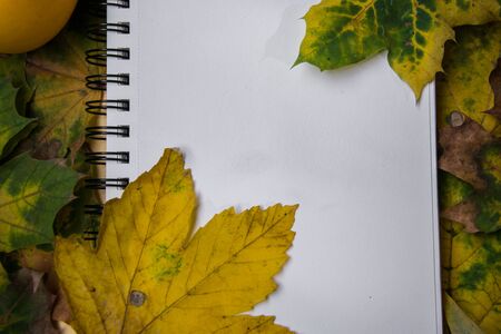 White paper for text, copy space, beautiful fallen yellow, green and brown autumn leaves in the...