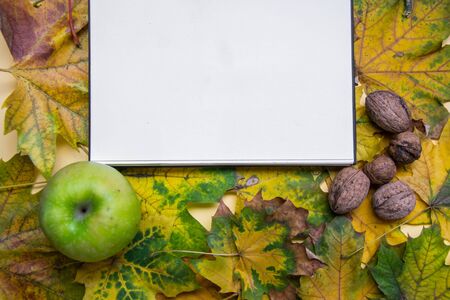 White paper for text, copy space, beautiful fallen yellow, green and brown autumn leaves in the background, flat lay fall composition, notebook top viewの写真素材