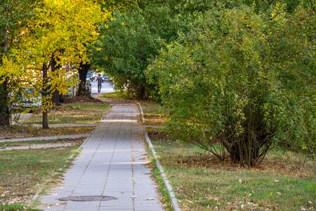 Beautiful autumn path in the city, colorful trees, beauty in nature
