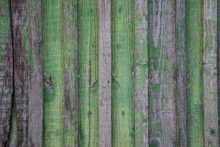 Interior Design - green wooden wall, old wooden board texture, grunge backgroundの写真素材