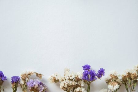 Multicolored dried flowers, colorful limonium statice plant with copy space, blank white paper with place for textの写真素材