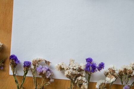 Multicolored dried flowers on wooden background, colorful limonium statice plant with copy space, blank white paper with place for textの写真素材