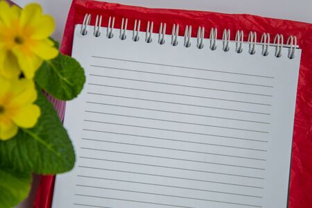 White paper, blank page of a text book in the office, copy space, business concept, different arranged objectsの写真素材