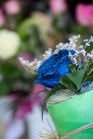 Beautiful blue rose, spayed with paint, close-up of a flower in a shop, selective focus, blooming bouquet with white decorationの写真素材