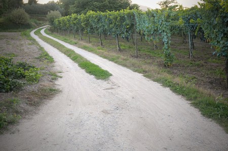 Country roadの写真素材