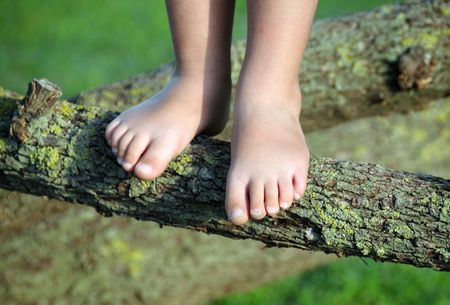 Detail of child's feet poised on a tree branchの写真素材