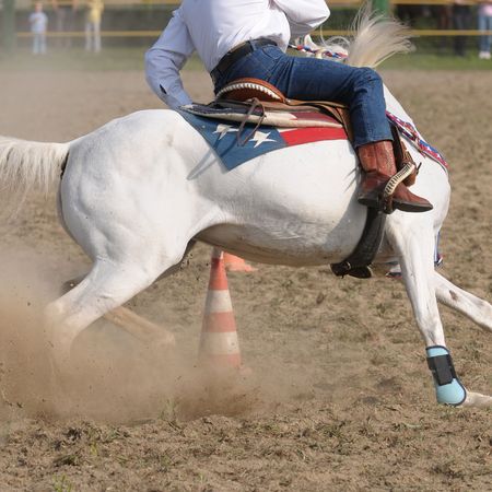 Pole bending raceの写真素材