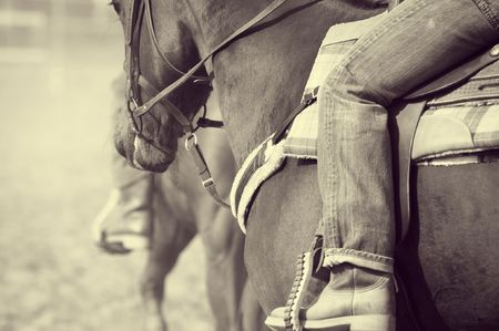 Old west: Detail of an horse and rider during a rodeo