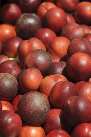Fresh nectarines at fruit marketの写真素材