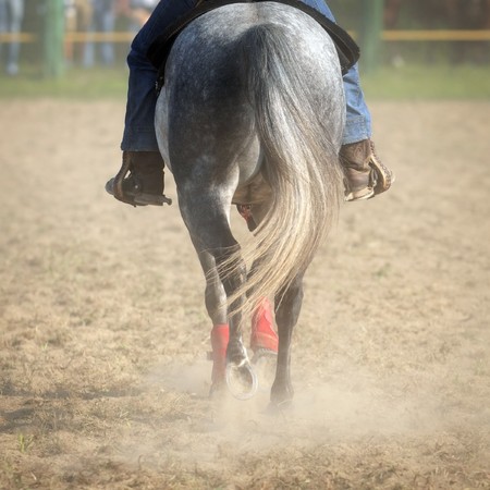 Horse back with raider while walking on dirty ground の写真素材