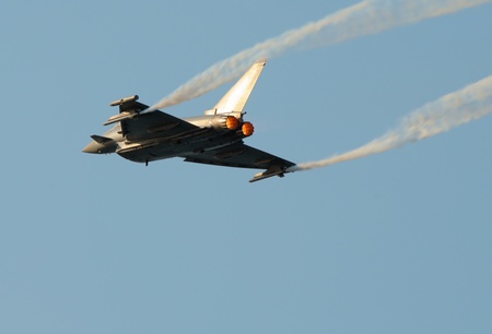 Eurofighter typhoon. No brands,names,plates,etc recognizable