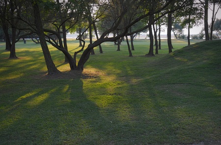 Relaxing parkの写真素材