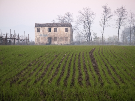 Winter rural landscape with old ruinの写真素材