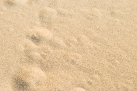 Pockets in the Sand Background