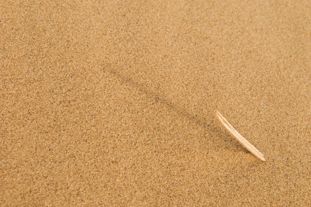 An artistic shot of a twig in the sand.