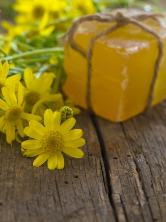 bathing soapの写真素材