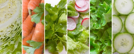 vegetable bannersの写真素材