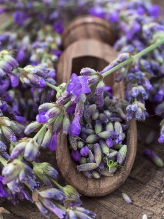 lavender spa settingの写真素材