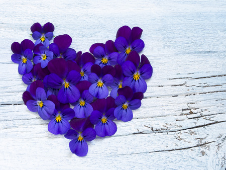 beautiful violets creating heart shapeの写真素材