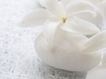 natural cosmetics, fresh as springの写真素材